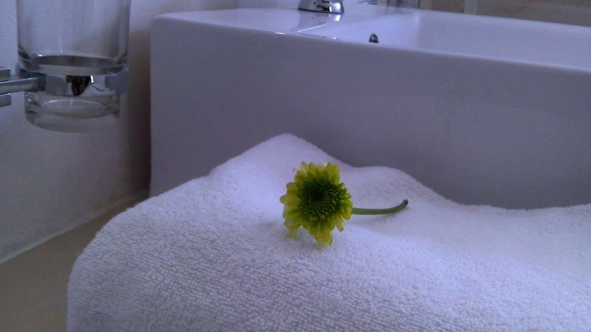 Hotel The Place Studios On 5Th Playa del Carmen