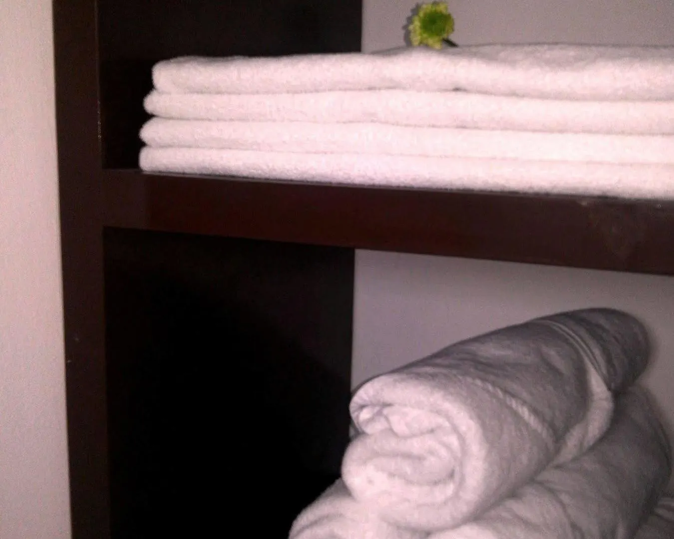 Apartament Hotel The Place Studios On 5Th Playa del Carmen Meksyk